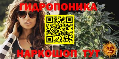 Альфа ПВП Обнинск