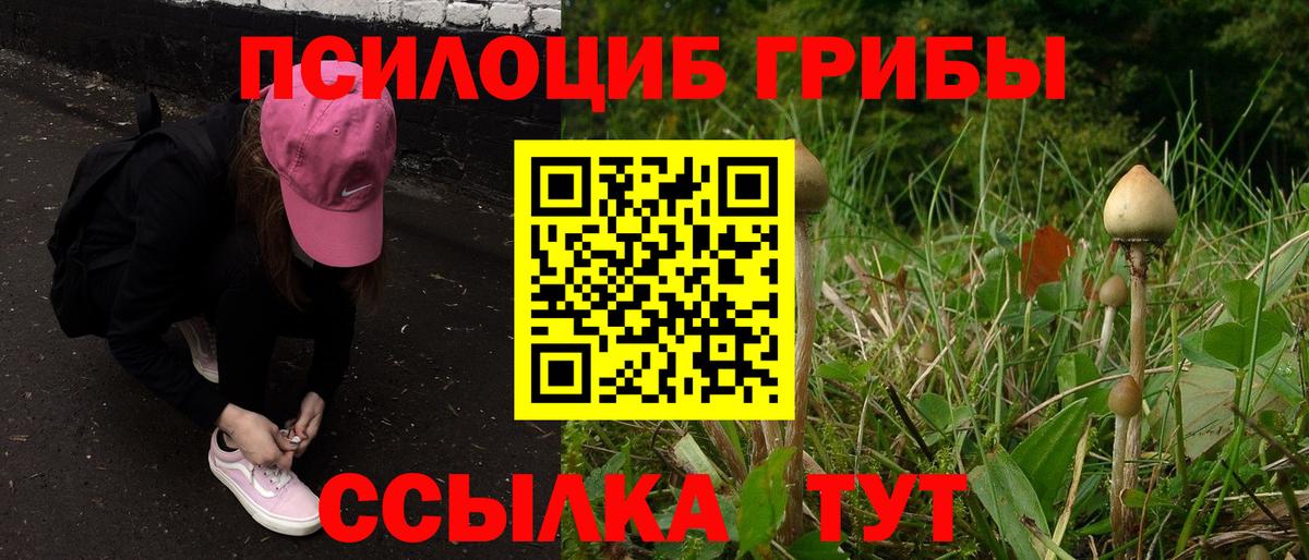 Галлюциногенные грибы ЛСД Сызрань