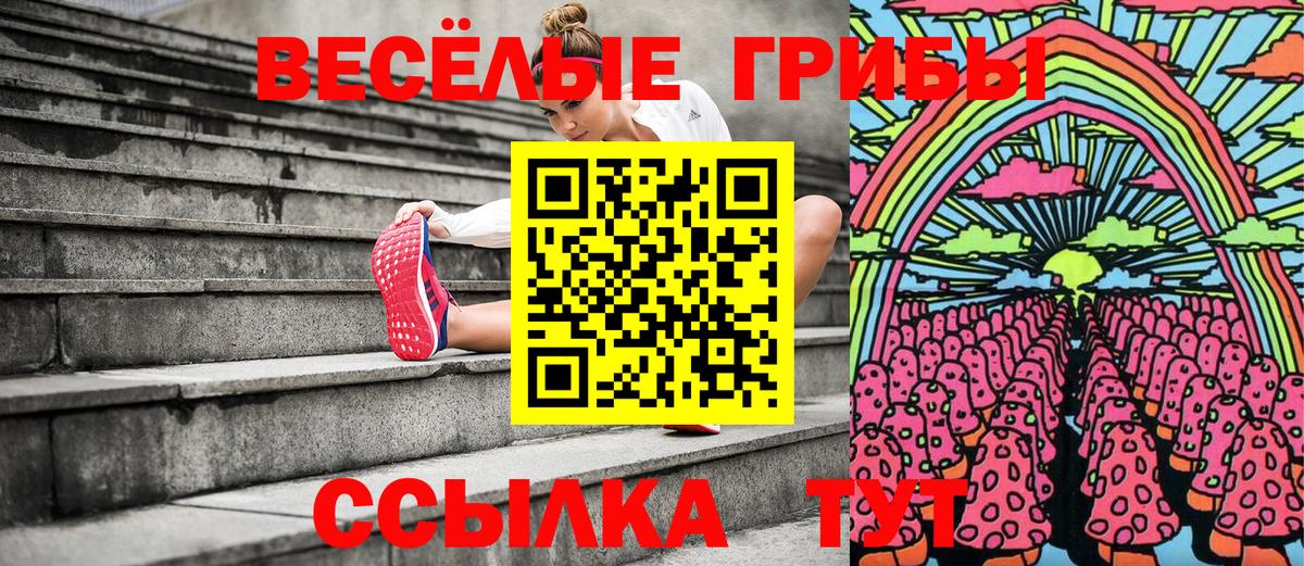 Псилоцибиновые грибы Psilocybe  купить закладку  Сызрань  Вход с VPN 